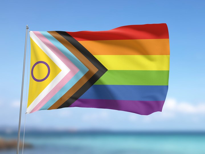 Pride Celebrations 